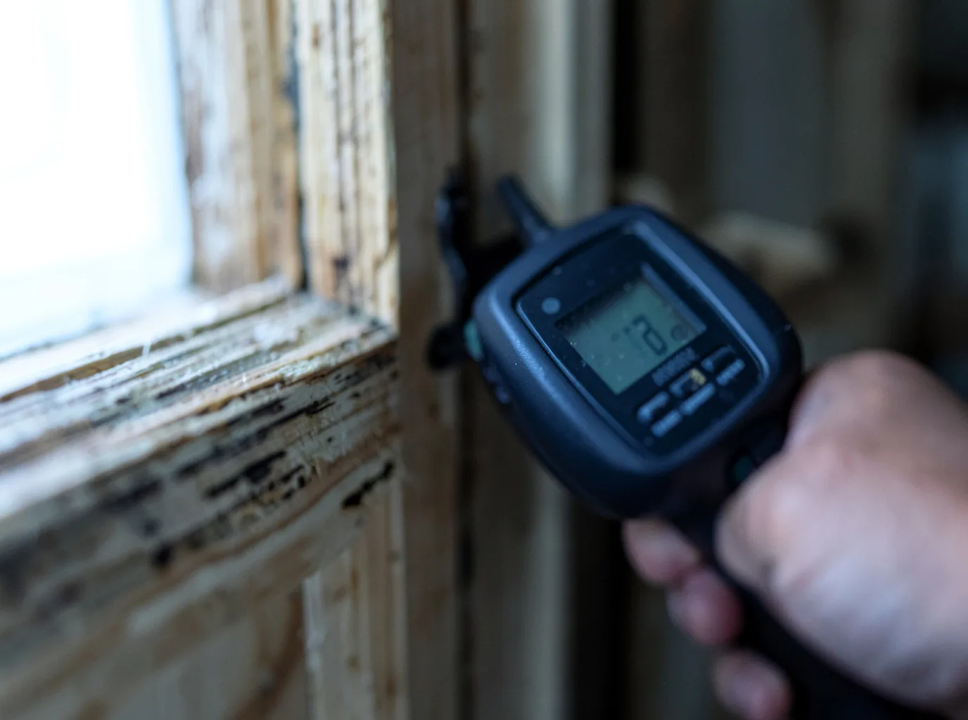 Moisture Inspection And Documentation in Saunderstown, RI